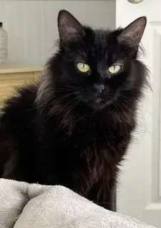 Georgia
