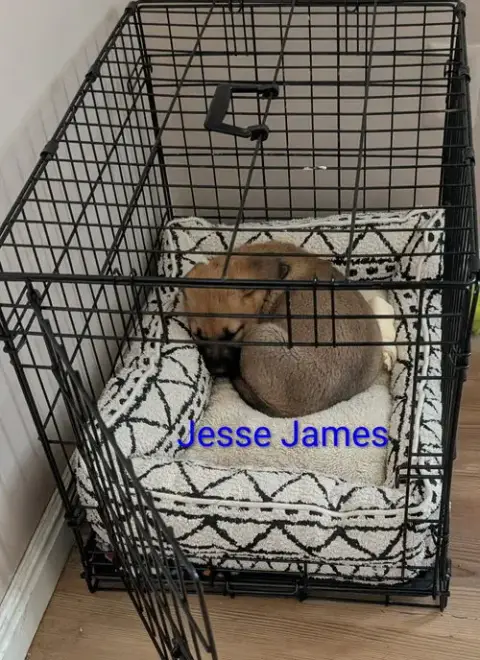 Jesse James photo 4