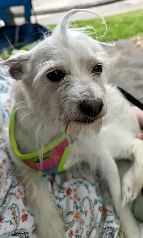 Zeke