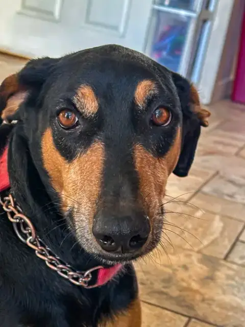 Coco photo 3
