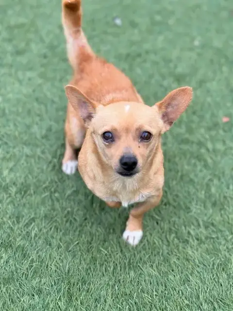 Radar