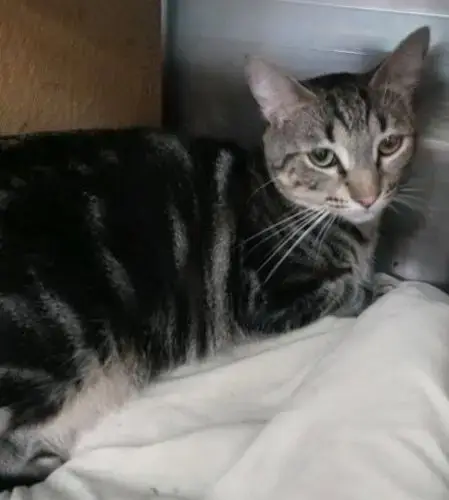 Tina
