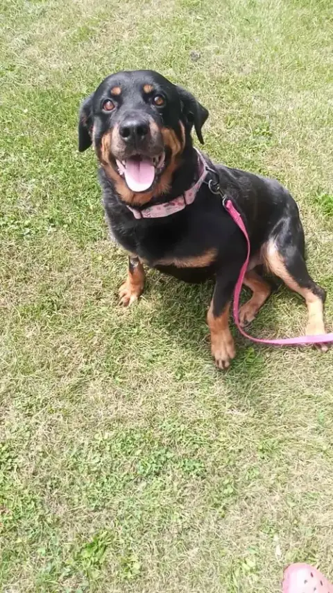 Mabel photo 5