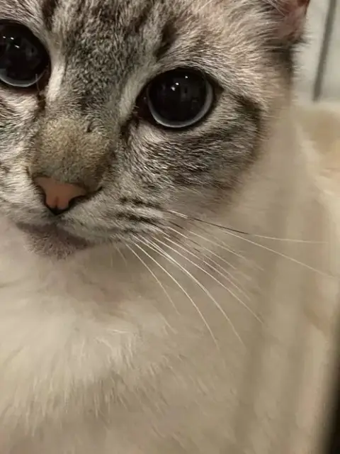 Maya photo 3