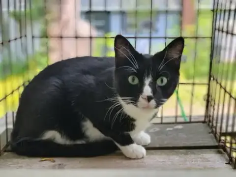 Tux photo 2