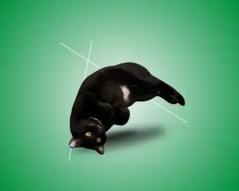Draco