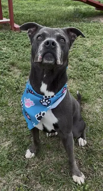 Sam