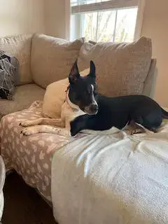 Maggie