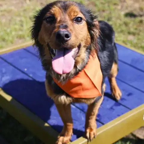 Max