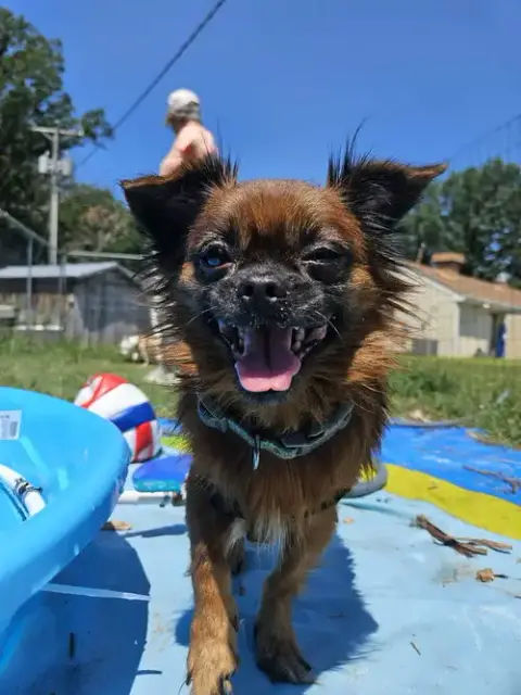 General “Zip:” Not At Shelter photo 5