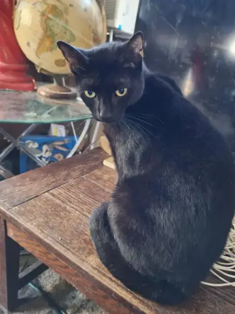 Jade