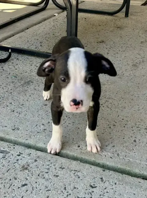 Tony