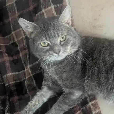 Bob photo 3