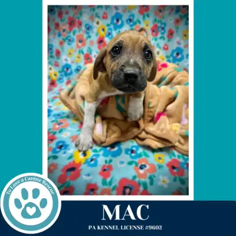 Mac photo 2