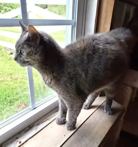 Jen
