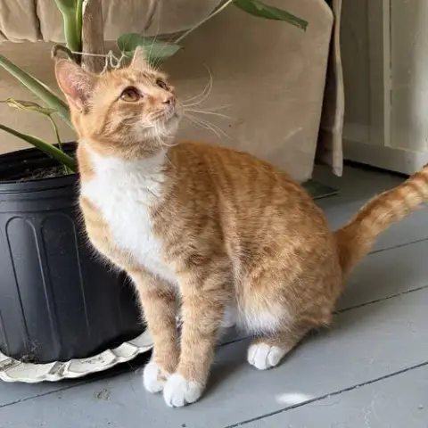 Declan photo 3