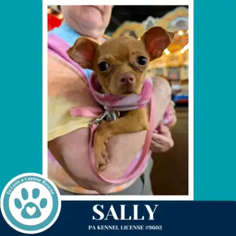 Sally 041826