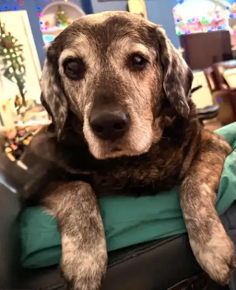 Wyatt photo 5