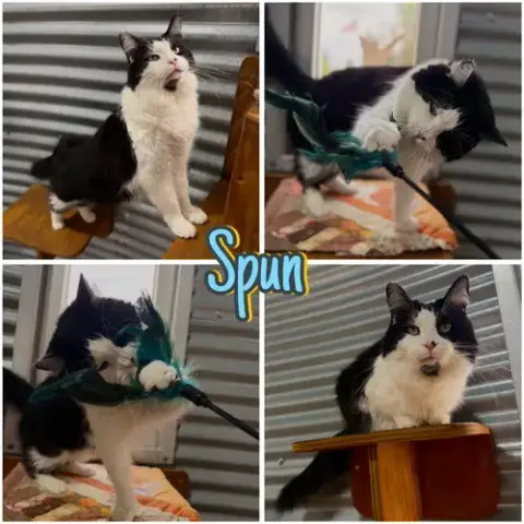 Spun
