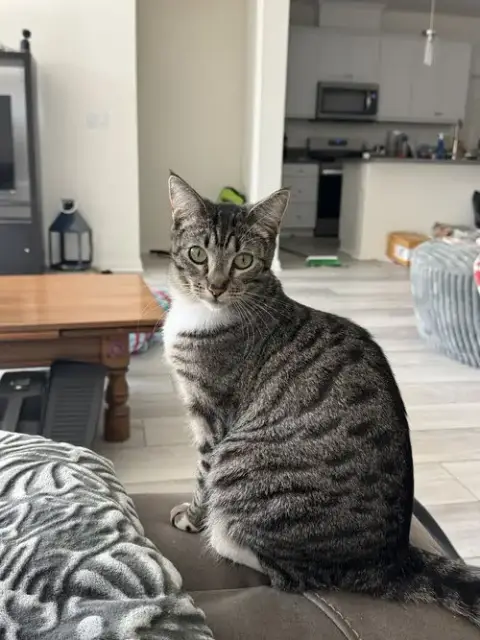 Eloise