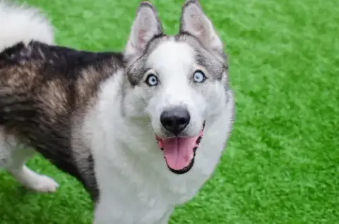 Max photo 4