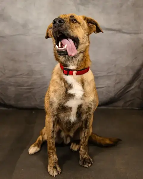 Lando photo 2