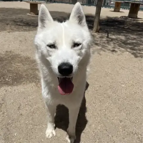 Casper