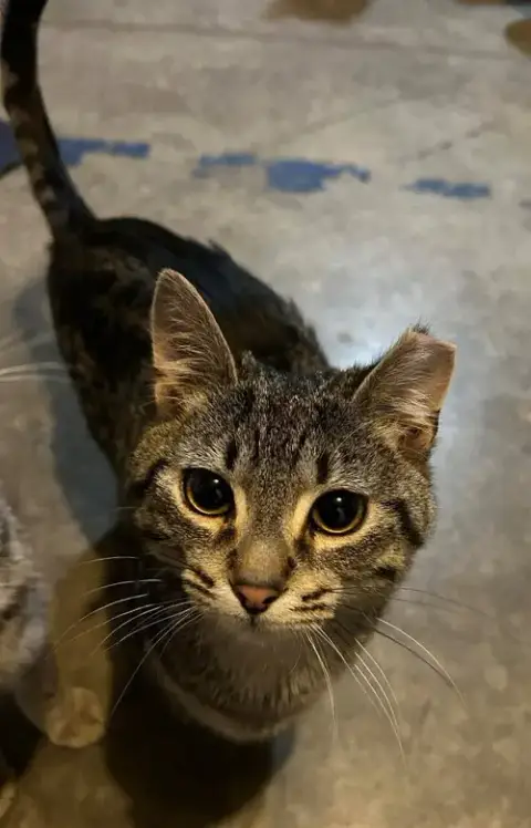 Little Scaredy