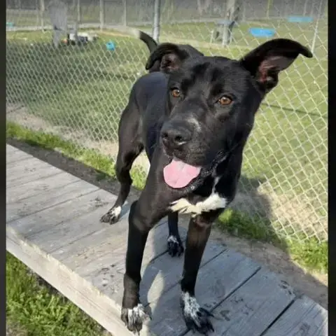 Maggie
