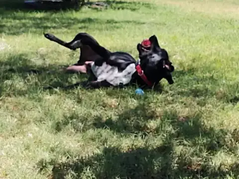 Pepper photo 3