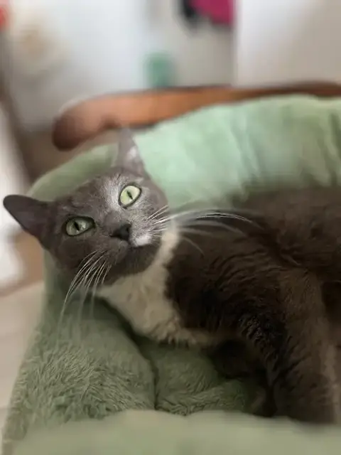 Anya photo 2