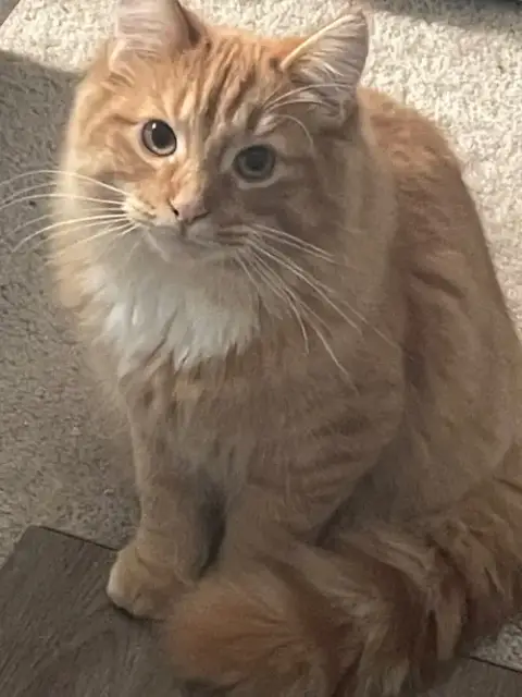 Rusty