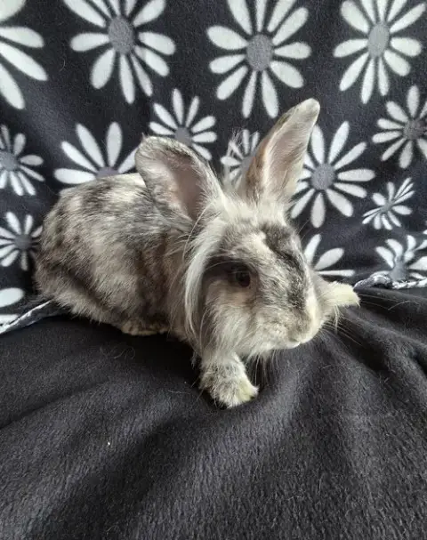 Elliot photo 3