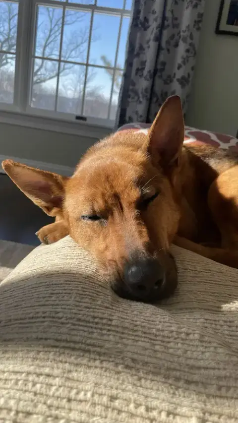 Bonnie photo 3