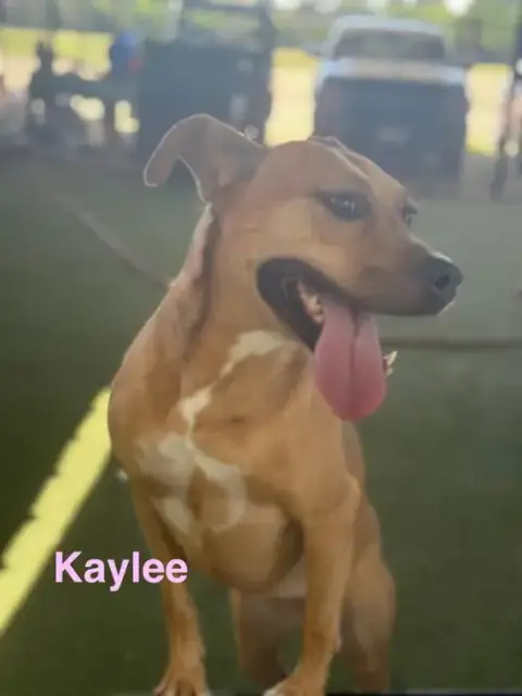 Kaylee photo 3