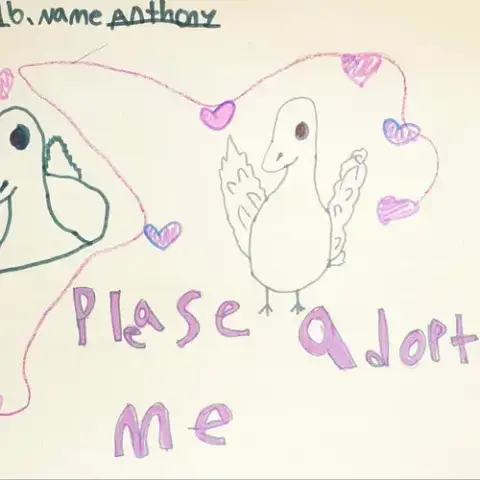Anthony photo 5