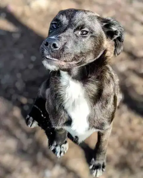 Leonardo photo 3