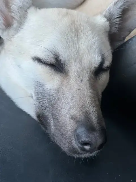 Bella photo 4
