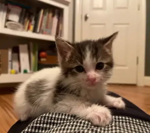 Marco