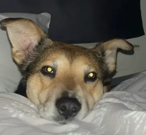 Cooper photo 4