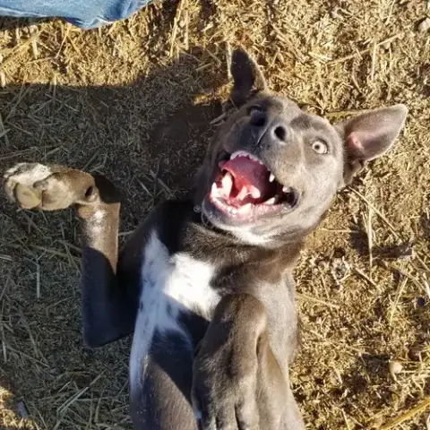 Tucker photo 2
