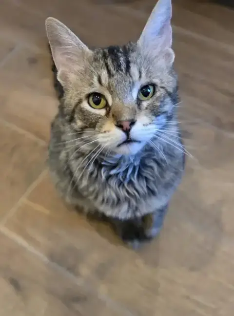 Skater Boi