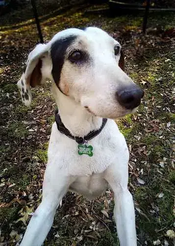 Patch