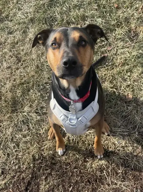 Woody photo 2