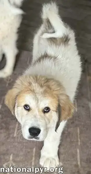 Sally In Md photo 2