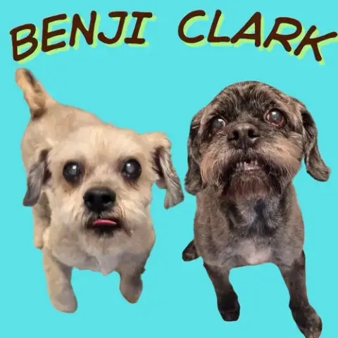 Benji