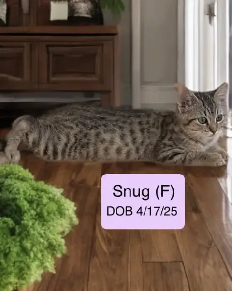 Snug photo 2