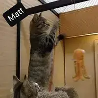 Matt photo 2