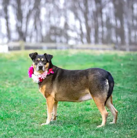 Lucy photo 2