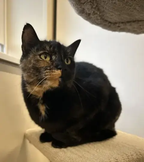 Stella photo 2